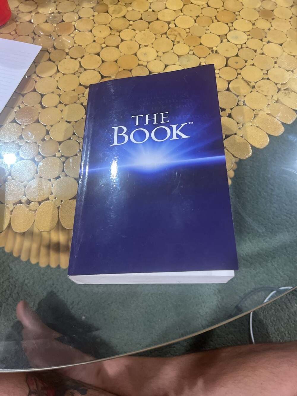 The Book: New Living Translation (NLT) by Tyndale House Publishers